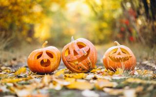 Spooky - Halloween carved pumpkins