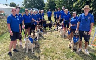 Community - The Happy Tailwaggers team