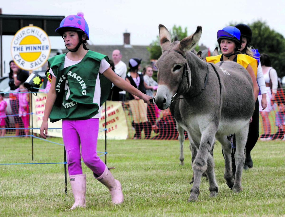 Donkey Derby 79498-3